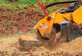 Best Storm Damage Tree Cleanup  in Phoenix Lake, CA